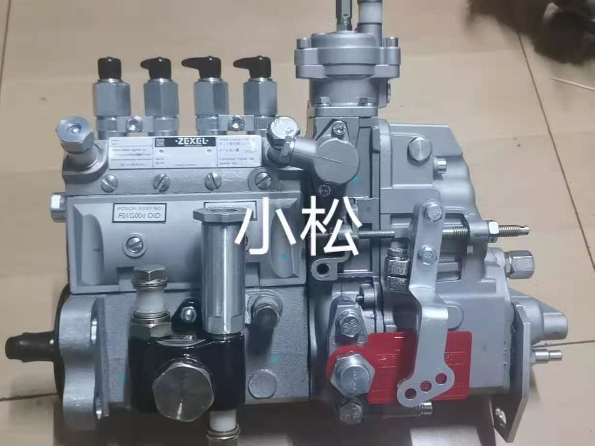 Komatsu  injection pump assay
